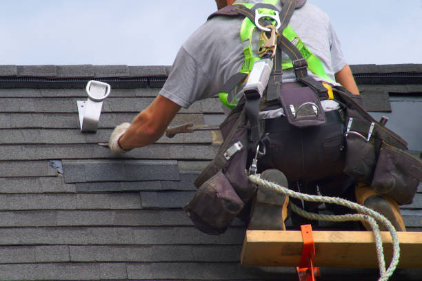 Best Shingle Roofing Installation  in Theresa, WI