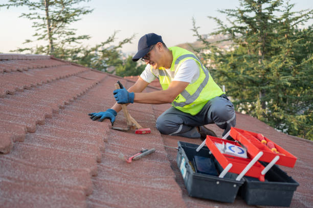 Best Local Roofing Companies  in Theresa, WI